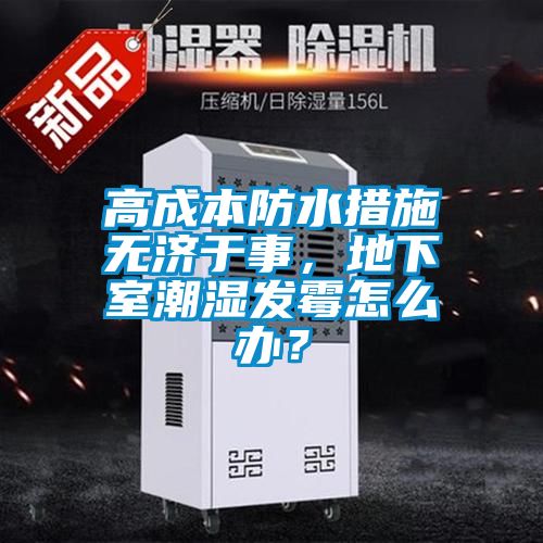 高成本防水措施無濟于事,地下室潮濕發霉怎么辦?