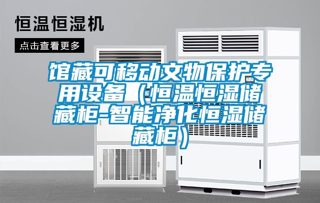 館藏可移動文物保護(hù)專用設(shè)備(恒溫恒濕儲藏柜-智能凈化恒濕儲藏柜)