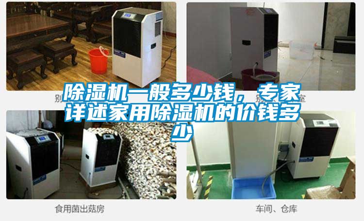 除濕機(jī)一般多少錢(qián)，專家詳述家用除濕機(jī)的價(jià)錢(qián)多少